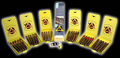41 Ct. Premium Sampler