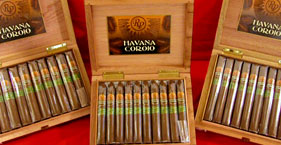 Rocky Patel..Havana Corojo